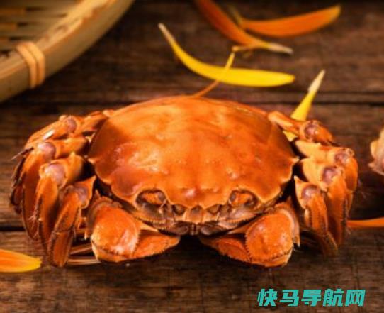 梭子蟹放0度保鲜行不行？梭子蟹冷冻后还能清蒸吗